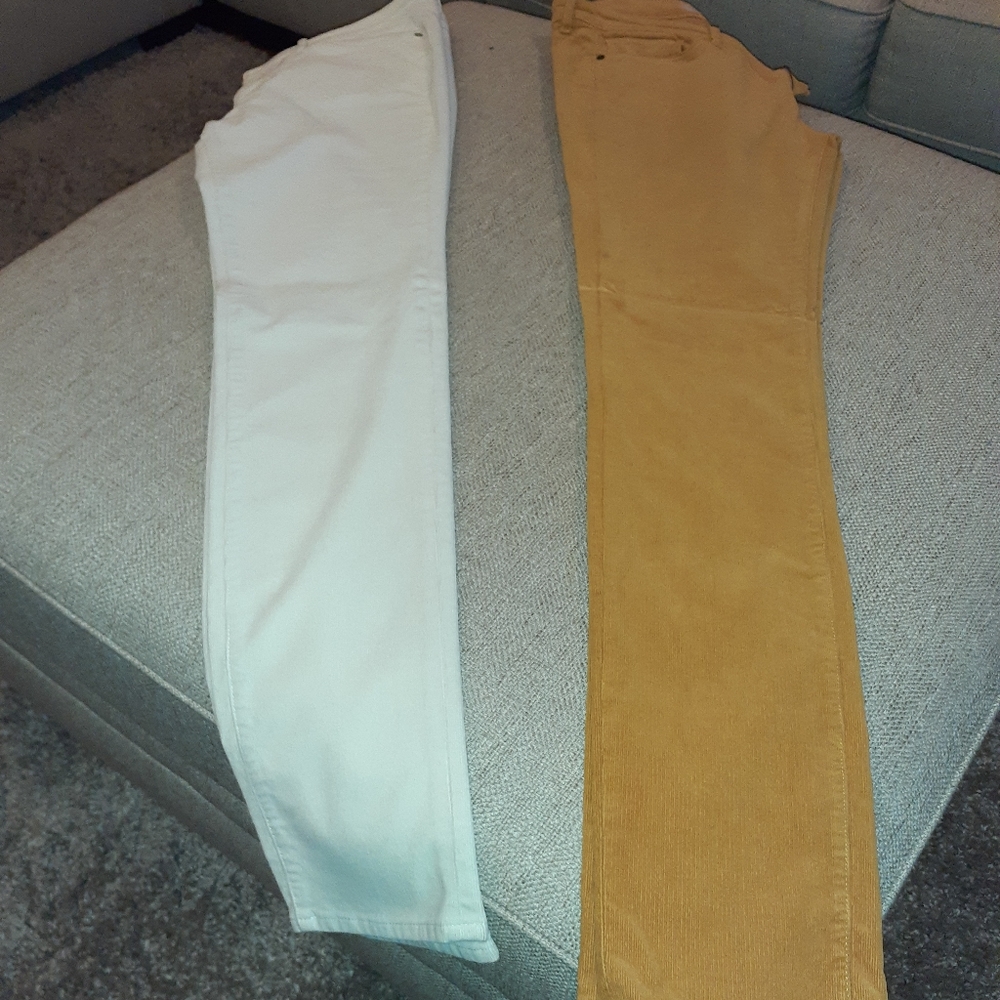 Pants
